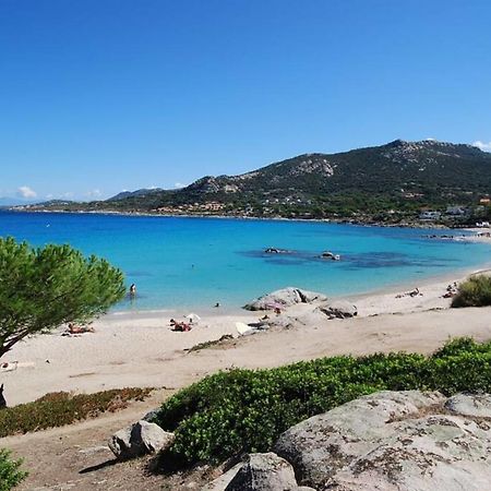 L'Orangeraie Calvi Centre A 300M De La Plage Et Du Port Parking Prive 외부 사진
