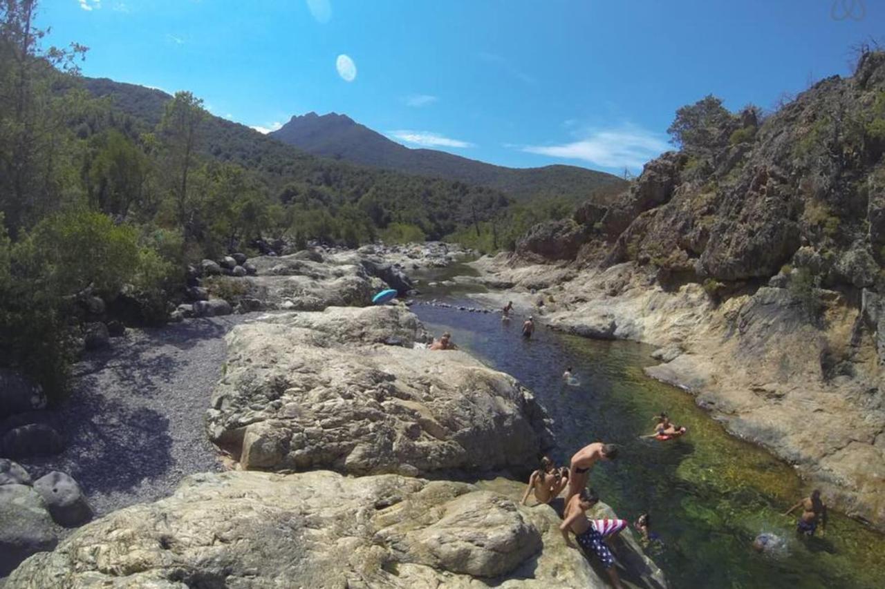L'Orangeraie Calvi Centre A 300M De La Plage Et Du Port Parking Prive 외부 사진