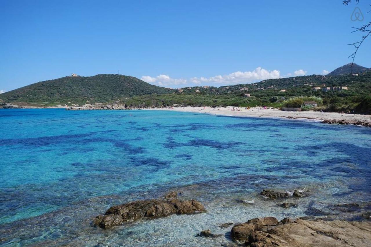 L'Orangeraie Calvi Centre A 300M De La Plage Et Du Port Parking Prive 외부 사진