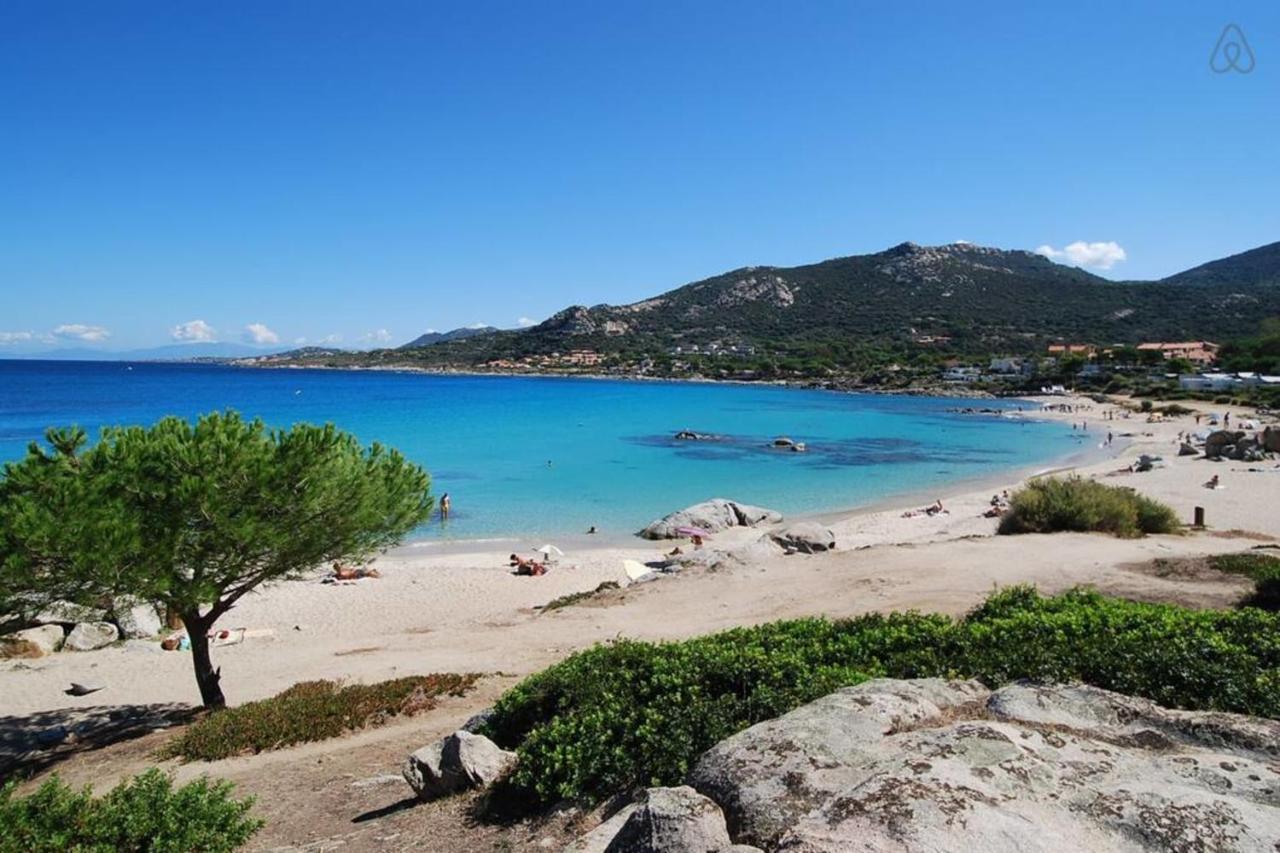 L'Orangeraie Calvi Centre A 300M De La Plage Et Du Port Parking Prive 외부 사진